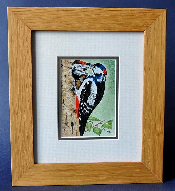 Elliot Hall Enamels Great Spotted Woodpecker Plaque